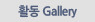 Ȱ Gallery